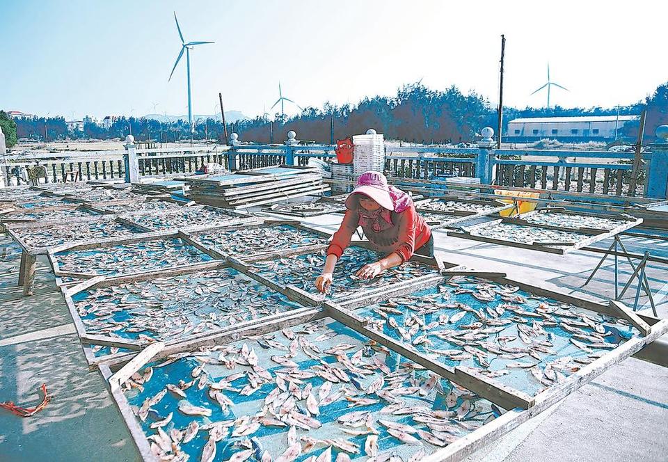 海的味道 莆田南日島知道