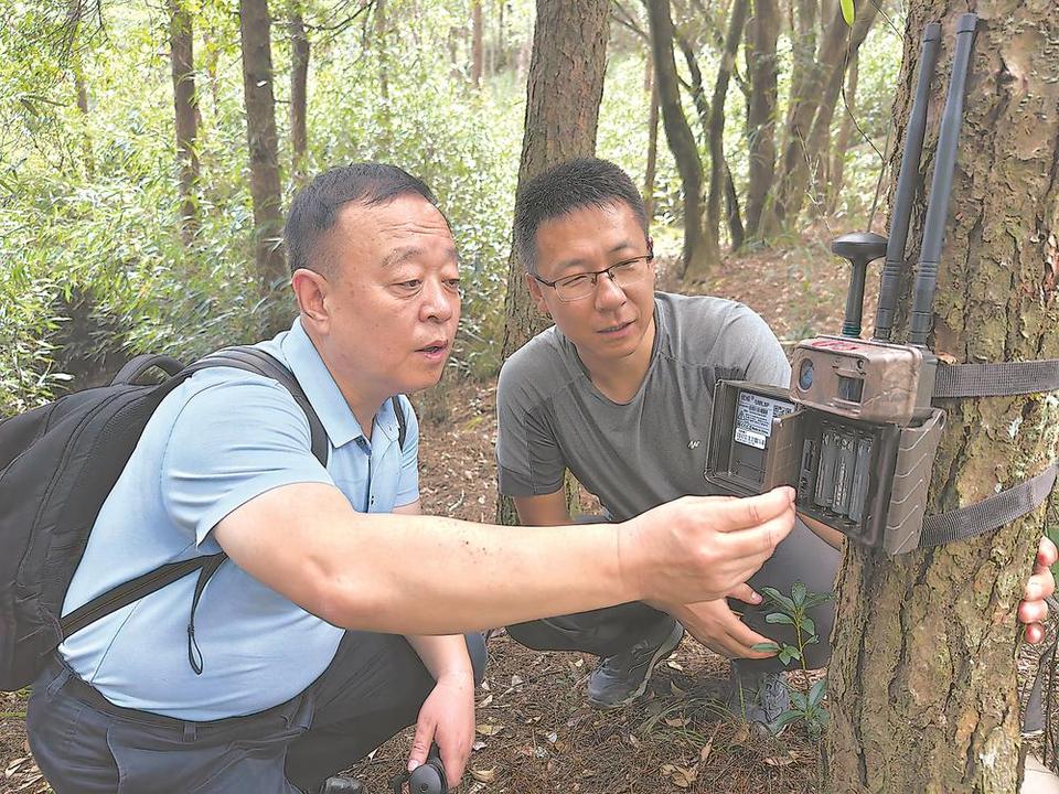 探秘“閩中屋脊”領略生態之美