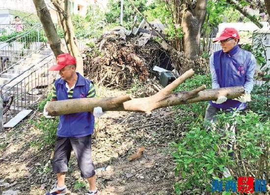 【福建時間列表】【廈門】【移動版】【Chinanews帶圖】廈門志願者超70萬名 志願組織近4000個