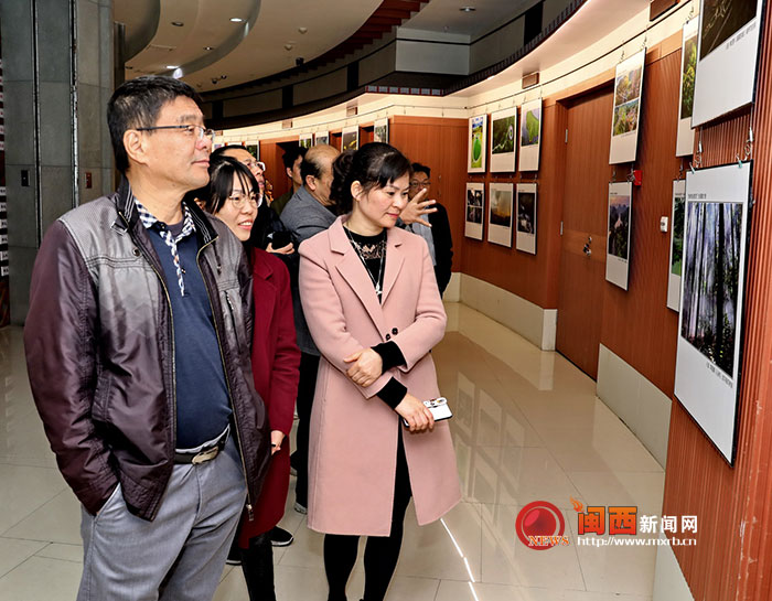 “綠水青山看龍岩”全省攝影大賽作品展在龍岩市博物館展出