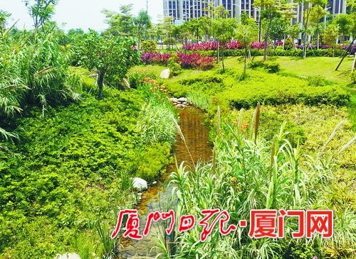 【要聞】【廈門】【移動版】【Chinanews帶圖】廈門創建國家海綿城市示範市 提升城市承載力宜居度