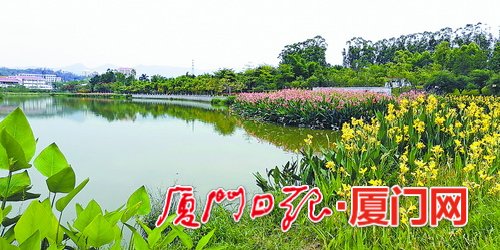 【要聞】【廈門】【移動版】【滾動新聞】【Chinanews帶圖】廈門大力維護水生態 持續提升城鄉水資源保障能力