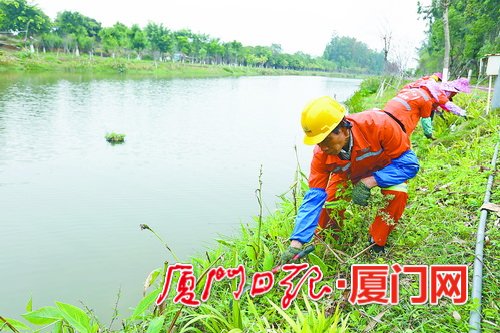 【要聞】【廈門】【移動版】【滾動新聞】【Chinanews帶圖】廈門大力維護水生態 持續提升城鄉水資源保障能力