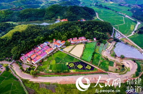 福建沙縣：林改讓山林活鄉村興