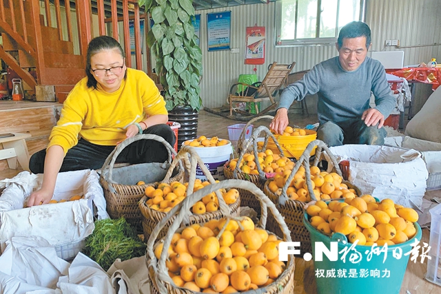 福州：特色農業“金點子” 走出振興新路子