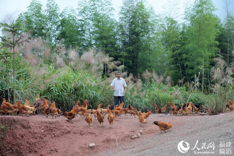 【福建時間主推】【龍岩】【移動版】【Chinanews帶圖】福建“林改村”來了位駐村書記：修水管搞脫貧 振鄉村樣樣行