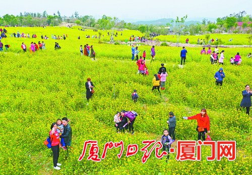 【要聞】【廈門】【滾動新聞】【移動版】【Chinanews帶圖】前三季度廈門農村居民人均可支配收入18591元