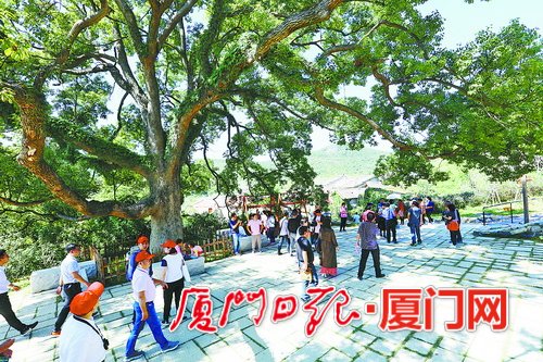 【要聞】【廈門】【滾動新聞】【移動版】【Chinanews帶圖】前三季度廈門農村居民人均可支配收入18591元