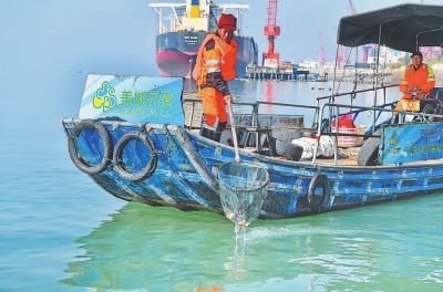 【要聞】【福州】【滾動新聞】【移動版】【Chinanews帶圖】福州羅源：清新羅源灣 治“漂”又治本