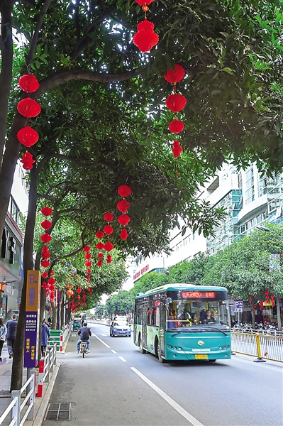 【福建時間主推】【南平】【移動版】【Chinanews帶圖】年味濃濃！南平市鮮花燈籠扮靚市容迎新春