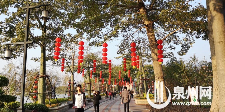 【焦點圖】【泉州】【移動版】【Chinanews帶圖】泉州市區八大公園梳粧打扮迎新春