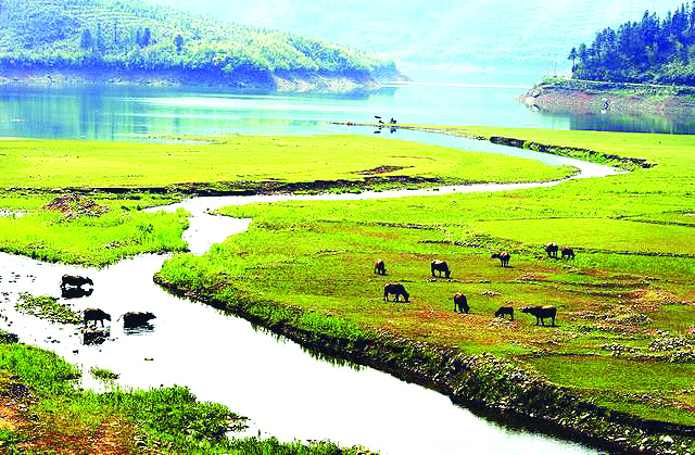 【旅遊主推】【南平】【移動版】【Chinanews帶圖】南平又添兩家國家3A級旅遊景區