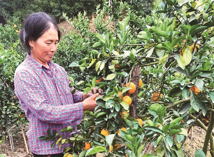 福安溪潭：磻溪十里人家 萬畝瓜果飄香