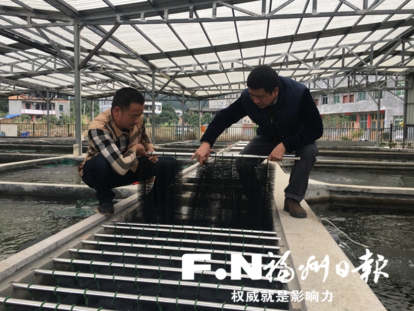 【福建時間列表】【福州】【移動版】【Chinanews帶圖】福州推廣金魚“三段法”養殖 成活率大幅提高