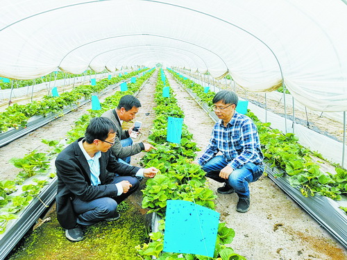 廈門市探索科技扶貧新模式 助力臨夏脫貧致富