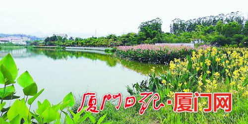 【福建時間主推】【廈門】【移動版】【Chinanews帶圖】廈門全面推行河湖長制 實現九大治理目標