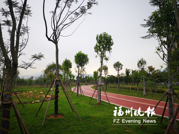 【要聞】【福州】【移動版】【Chinanews帶圖】福清濕地公園下月開放 佔地123畝開闢城市菜地