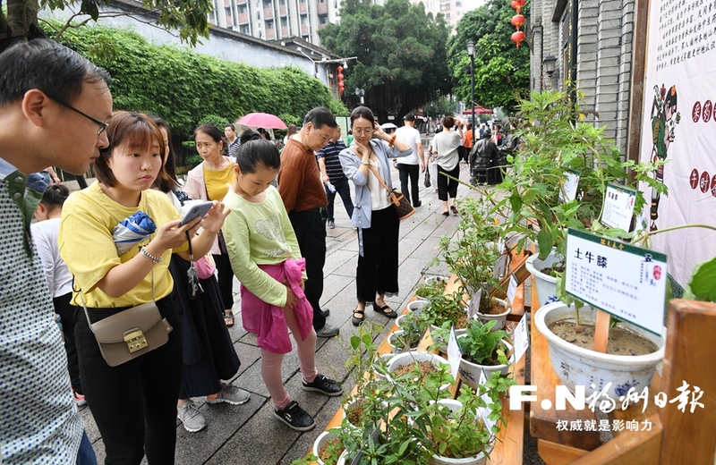 【福州】【移動版】福州民間草藥展亮相南後街