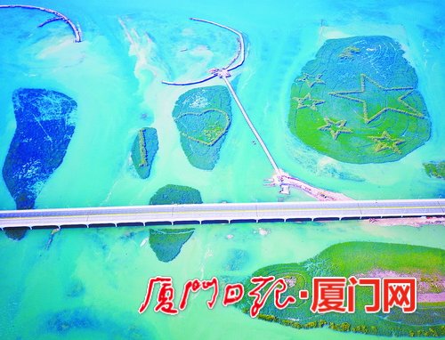 【要聞】【廈門】【移動版】【滾動新聞】【Chinanews帶圖】廈門深化海洋生態文明建設 加速邁向海洋強市