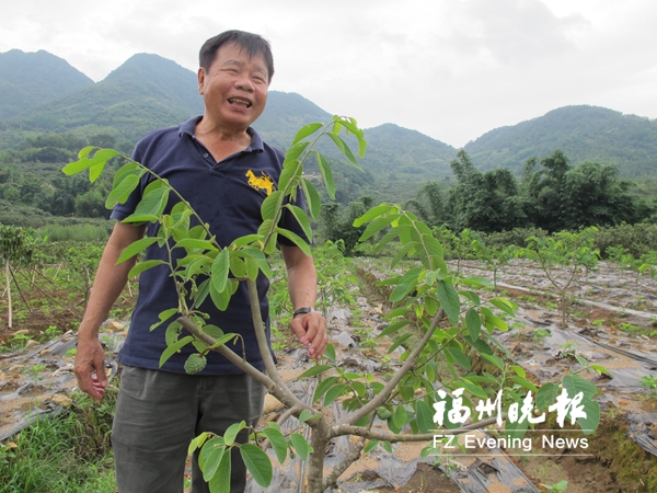 【臺海 列表】台灣傑出農民 在福清幹得風生水起