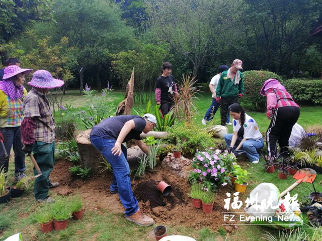 福州金山公園添新景 拐角可遇“枯木逢春”