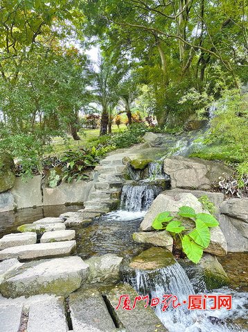 廈門園林植物園美景“上新”