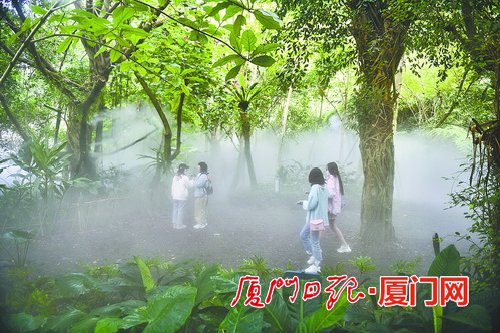 廈門園林植物園美景“上新”