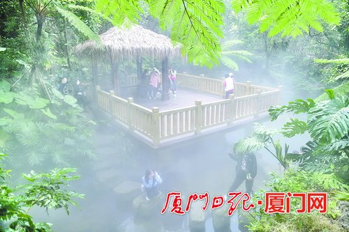 廈門園林植物園美景“上新”