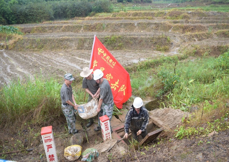 【cri看福建 列表】【移動版】【chinanews】福建：中國電信奮力抗災保通信