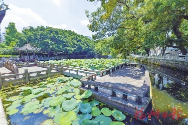 【滾動新聞】鼓樓：古厝煥新生 文脈貫古今