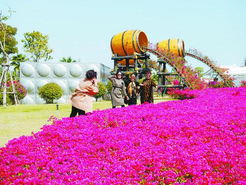 廈門馬鑾灣生態三島公園試開放