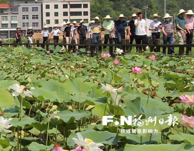 福州市美麗鄉村建設暨裸房整治專題現場會在閩清舉行