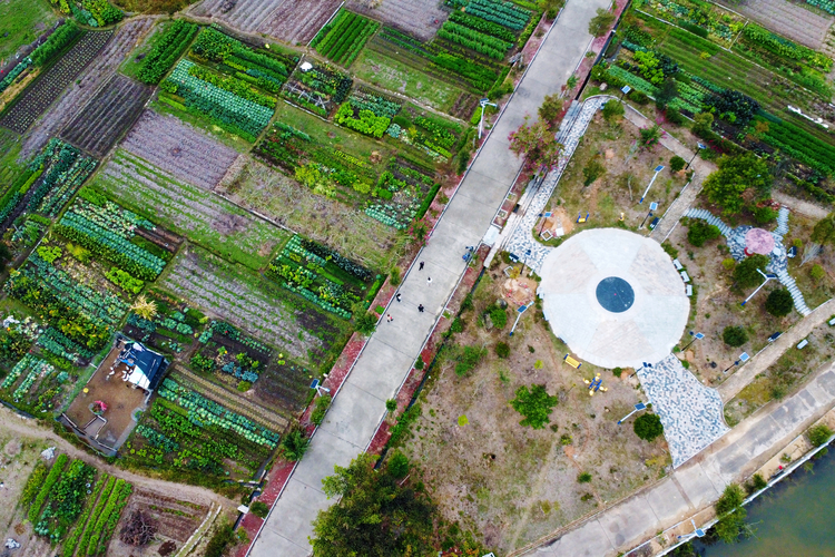 泉州南安大洋村：改善居住環境 打造宜居宜業宜遊美麗鄉村_fororder_WechatIMG1389