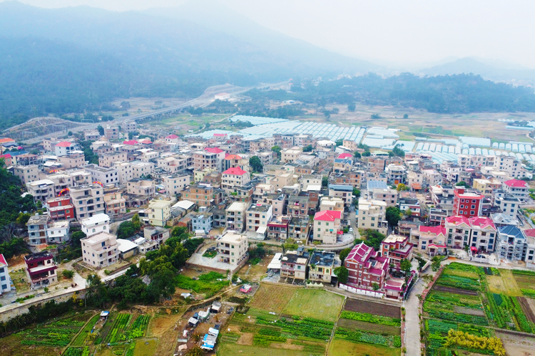 泉州南安大洋村：改善居住環境 打造宜居宜業宜遊美麗鄉村_fororder_WechatIMG1390