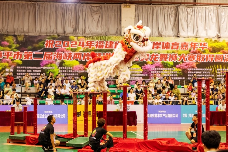 漳平市第二屆海峽兩岸暨港澳地區舞龍舞獅大賽成功舉辦_fororder_微信圖片_20240823152648