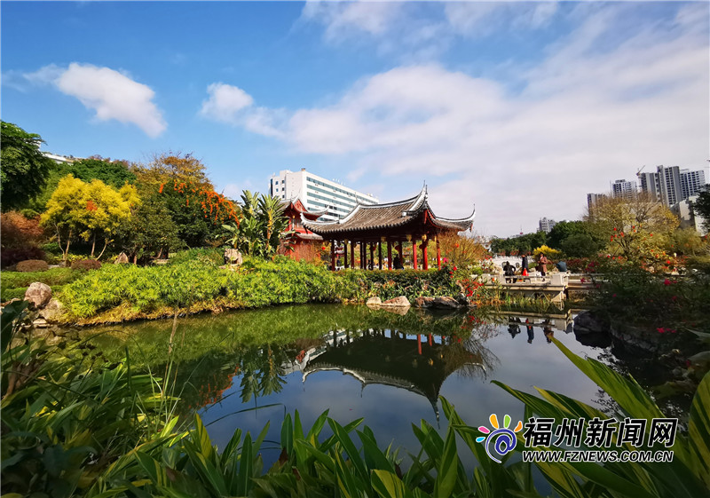 黎明湖公園：半湖園林半湖塘 精緻風光惹人醉