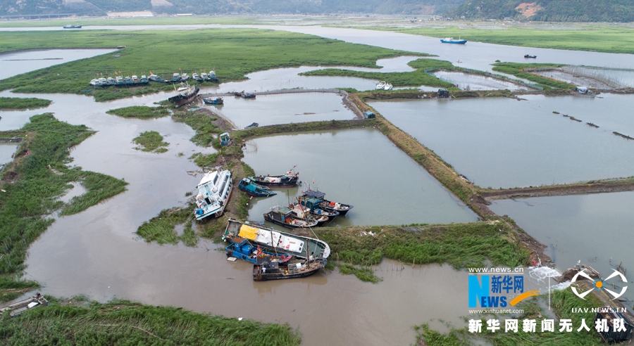 直擊閩東災區牙城鎮：海上養殖場受重創 漁民忙重建