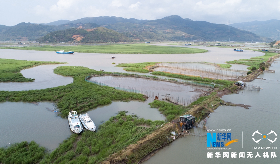 直擊閩東災區牙城鎮：海上養殖場受重創 漁民忙重建