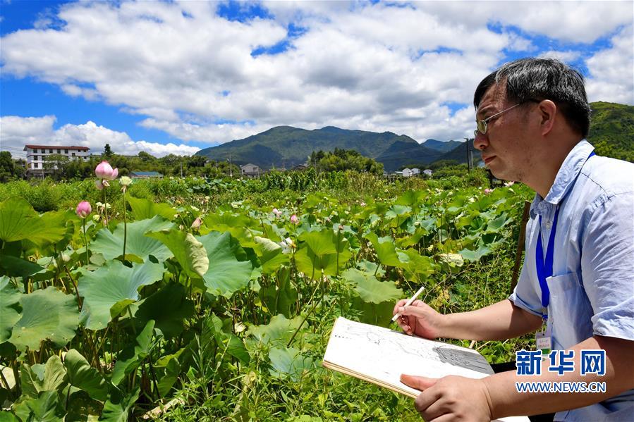 【焦點圖】【移動版 輪播圖】【滾動新聞】武夷山：清風荷塘引客來