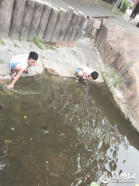 暑期遊公園 安全須牢記