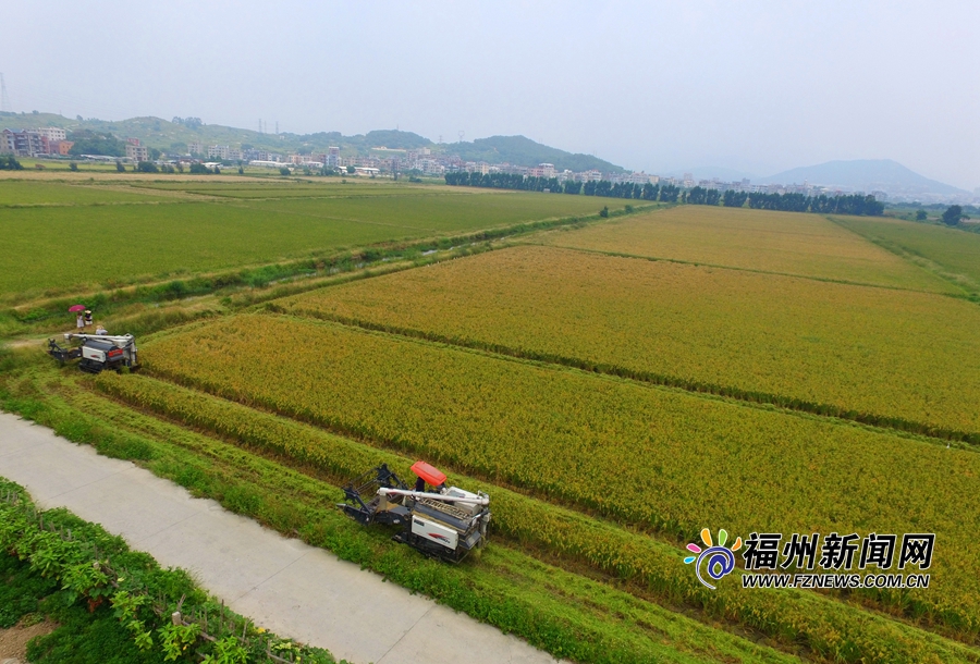 福清三華農場按照現代農場標準打造田園綜合體系