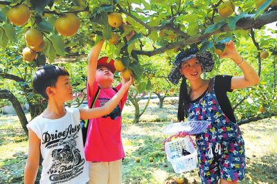 【旅遊列表】【滾動新聞】【地市 三明】“賞花經濟+文體活動” 三明建寧打造旅遊發展新模式