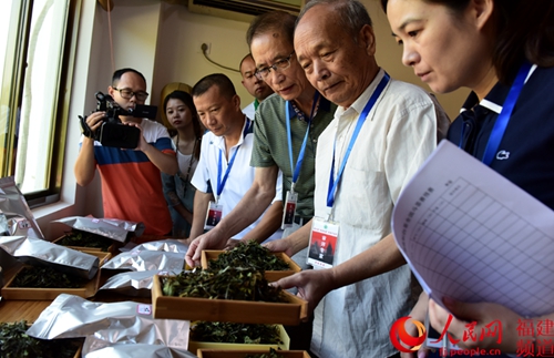 政和精選好茶 力圖提高白茶知名度助力農民脫貧致富