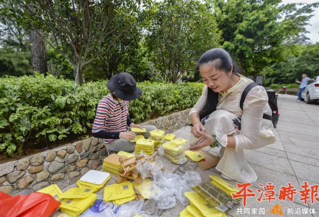 平潭對公園樹木、花木懸挂“身份牌” 提升市民綠化知識