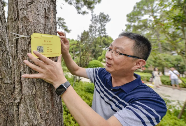 平潭對公園樹木、花木懸挂“身份牌” 提升市民綠化知識