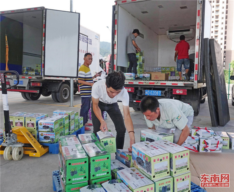 【焦點圖】【移動版 輪播圖】【滾動新聞】 【 ChinaNews帶圖】福安象環村：鹽鹼地“種出”甜美生活