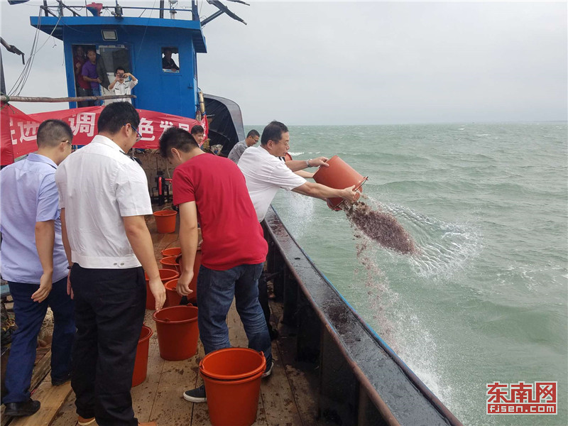 福建增殖放流：為了可持續的藍色家園