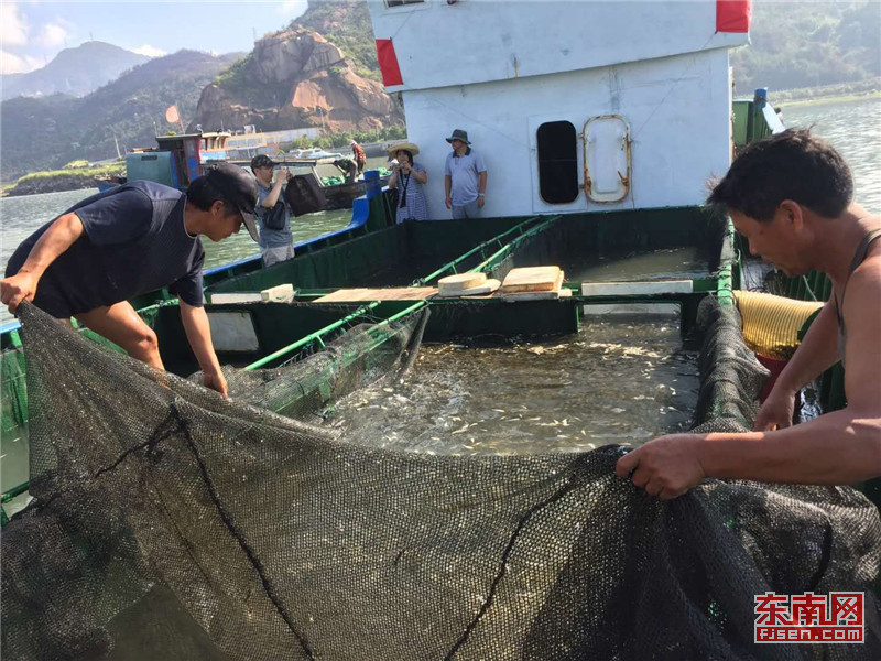 福建增殖放流：為了可持續的藍色家園