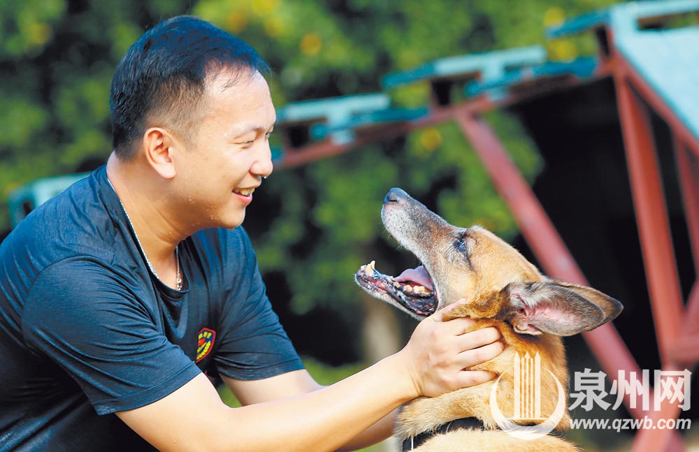 “退”不下來的搜爆犬梅西