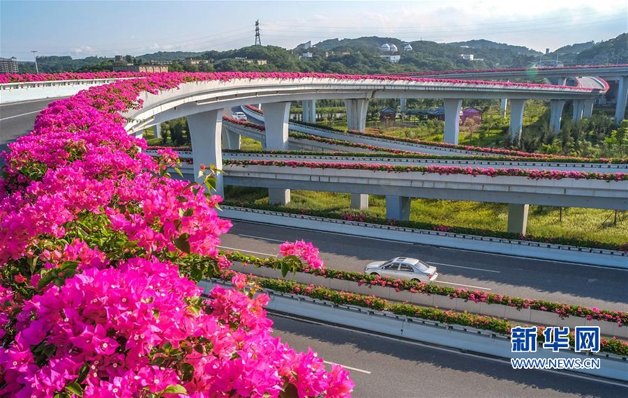 福建泉州：花開立交橋